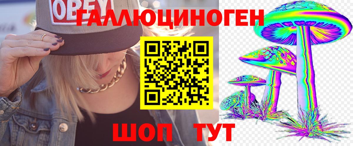 Псилоцибиновые грибы мицелий Верхний Уфалей