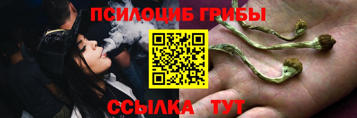 Галлюциногенные грибы MAGIC MUSHROOMS  где купить наркотик  Верхний Уфалей  Вход с VPN  Галлюциногенные грибы Psilocybe 
